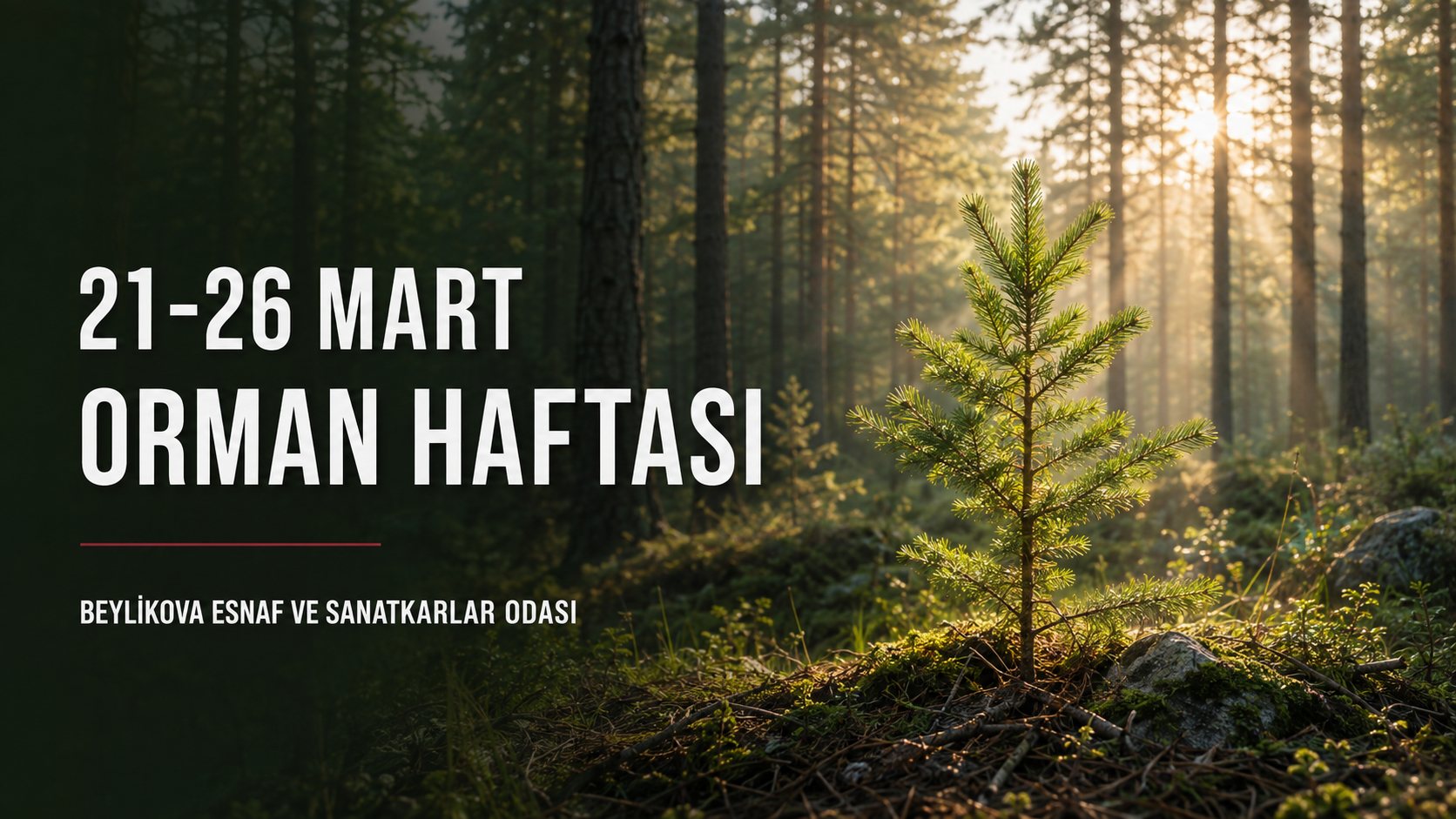 Başkan Özgür Bora’dan Orman Haftası Mesajı